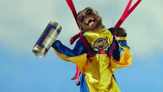 Monkey Up - Backdrops