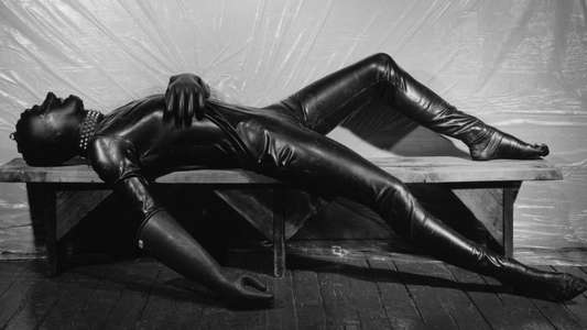 Mapplethorpe: Look at the Pictures - Backdrop