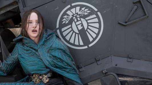 The Hunger Games: Mockingjay - Part 2 - Backdrop