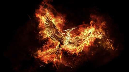 The Hunger Games: Mockingjay - Part 2 - Backdrop