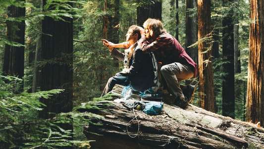 Swiss Army Man - Backdrop