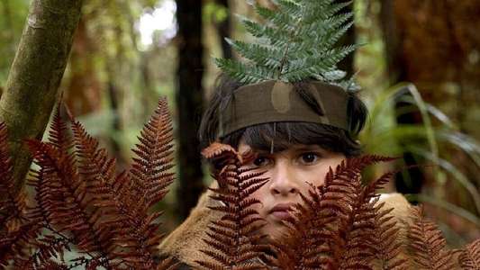 Hunt for the Wilderpeople - Backdrop
