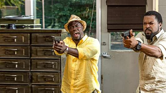 Ride Along 2 - Backdrops