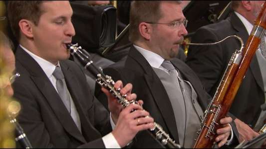 New Year's Concert 2015 - Backdrop