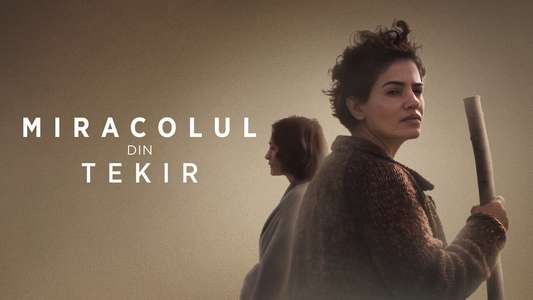 The Miracle of Tekir - Backdrop
