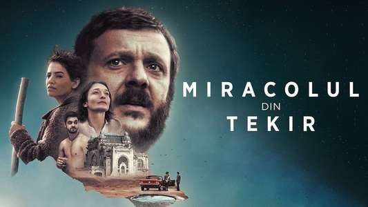 The Miracle of Tekir - Backdrop
