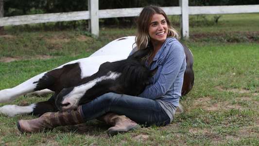 A Sunday Horse - Backdrop