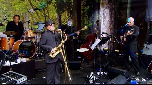 Van Morrison - Up on Cyprus Avenue - Backdrop