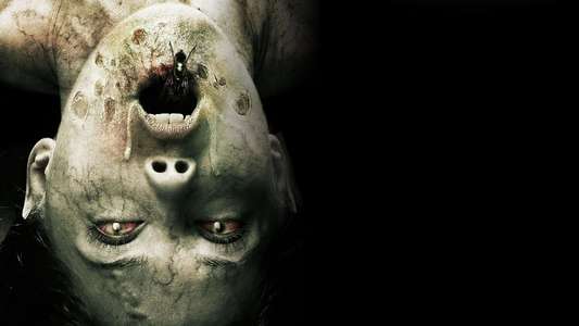 The Exorcism of Molly Hartley - Backdrop