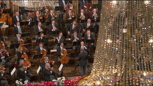 New Year's Concert: 2016 - Vienna Philharmonic - Backdrop