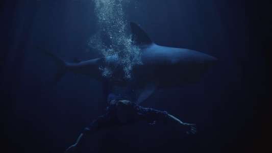 Shark Lake - Backdrop