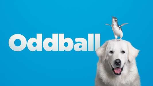 Oddball - Backdrop