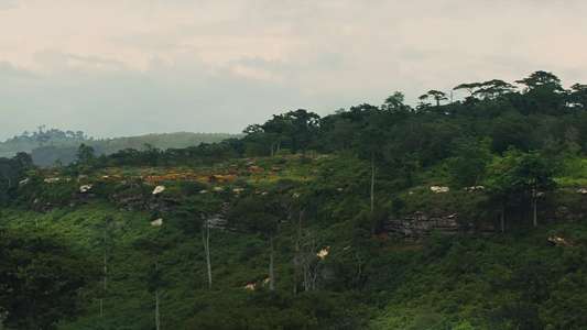 Beasts of No Nation - Backdrop