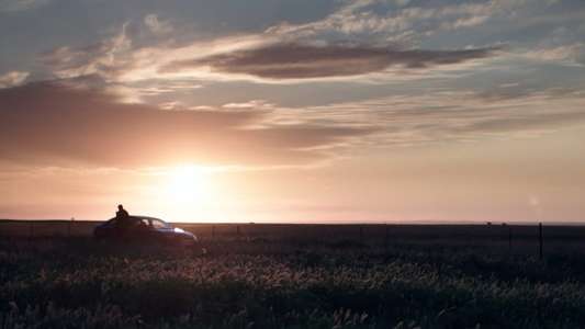 Dawn - Backdrop