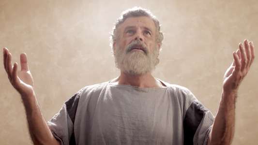 Polycarp - Backdrop