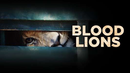 Blood Lions - Backdrop