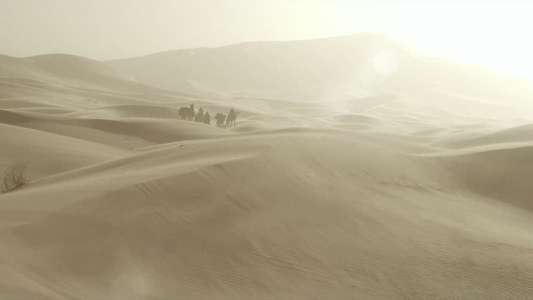 Queen of the Desert - Backdrop