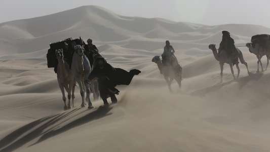 Queen of the Desert - Backdrop