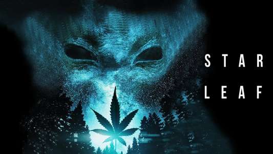 Star Leaf - Backdrop