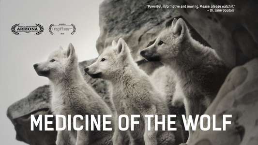 Medicine of the Wolf - Backdrop