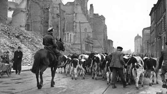 1945: The Savage Peace - Backdrop
