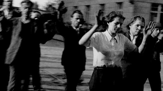 1945: The Savage Peace - Backdrop