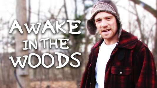 Awake In The Woods - Backdrop