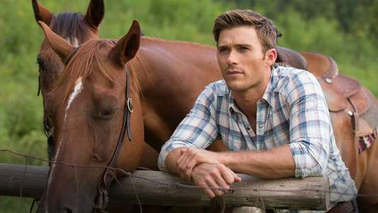 The Longest Ride - Backdrop