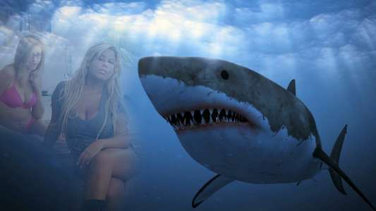 Shark Babes - Backdrop