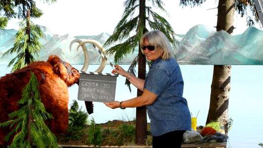Karel Zeman: Adventurer in Film - Backdrop