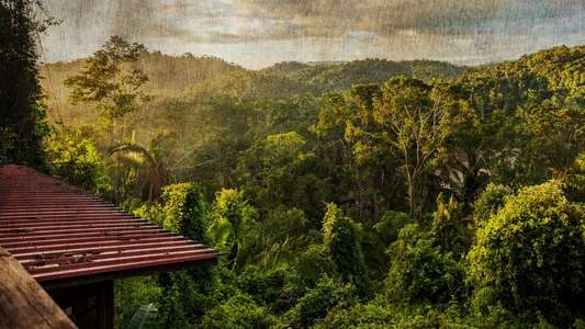 The Cannibal in the Jungle - Backdrop