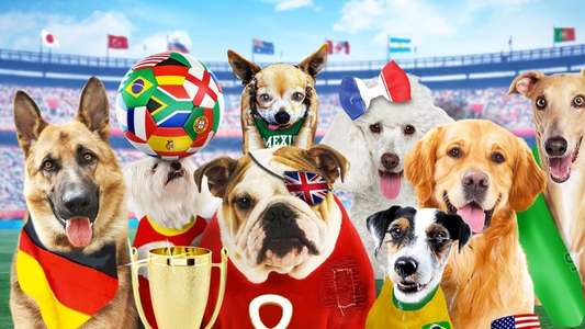 Pups United - Backdrop