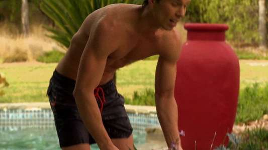 90210 Shark Attack - Backdrop