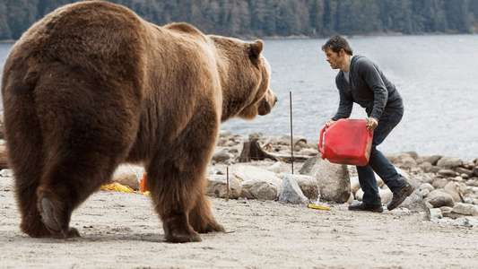 Into the Grizzly Maze - Backdrop