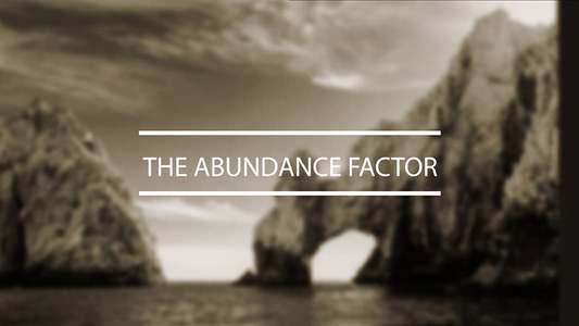The Abundance Factor - Backdrop