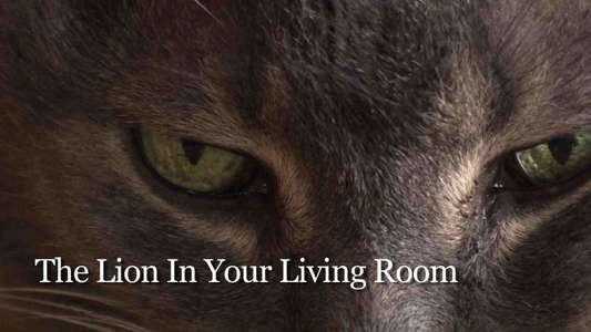 The Lion In Your Living Room - Backdrop