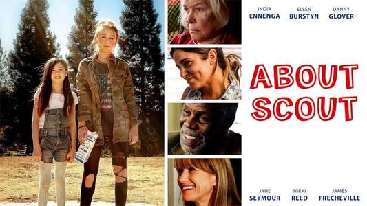 About Scout - Backdrop