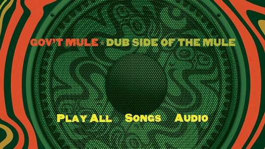 Gov't Mule: Dub Side of the Mule - Backdrop