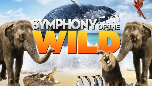 Symphony of the Wild - Backdrop