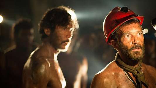 The 33 - Backdrops