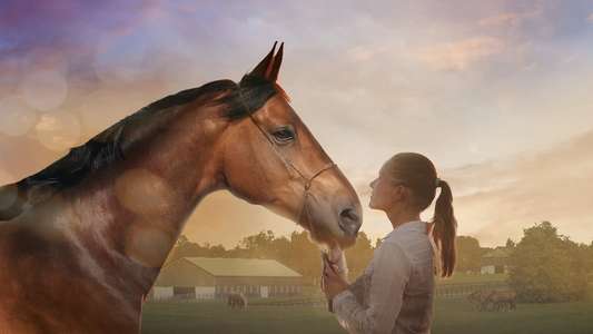 A Horse Tail - Backdrop