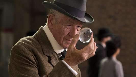 Mr. Holmes - Backdrop