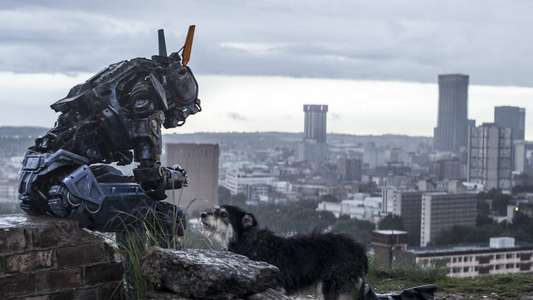 Chappie - Backdrop