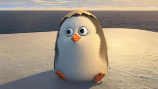 Penguins of Madagascar - Backdrop