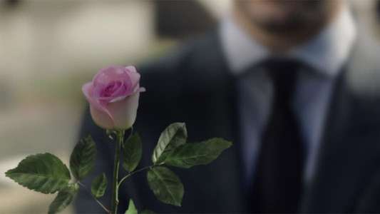 A Rose Reborn - Backdrop