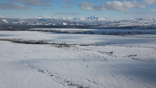 Return to the Wild: The Chris McCandless Story - Backdrop