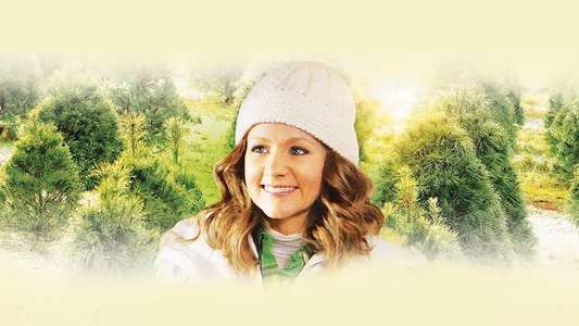 An Evergreen Christmas - Backdrop