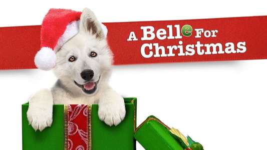 A Belle for Christmas - Backdrop