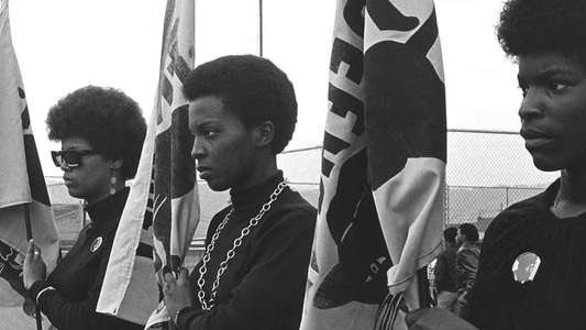 The Black Panthers: Vanguard of the Revolution - Backdrop