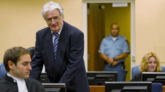 The Serbian Lawyer - Backdrop